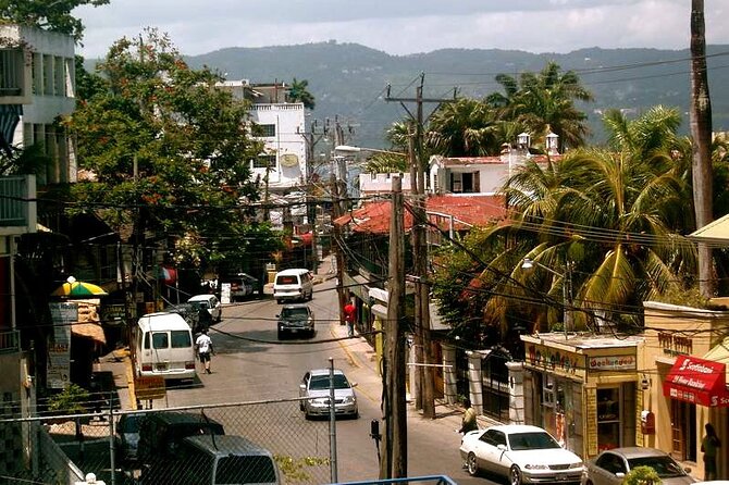 Rockland Bird Sanctuary plus Montego Bay Highlights & Shopping Private Tour - Who will enjoy this outing most?
