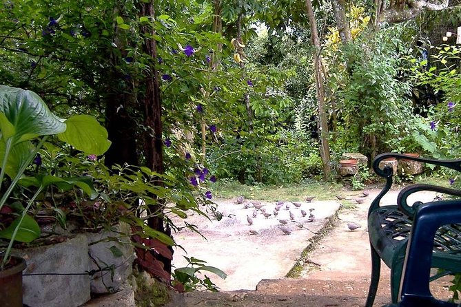 Rockland Bird Sanctuary Private Tour - Why Rocklands feels different from ordinary bird-watching