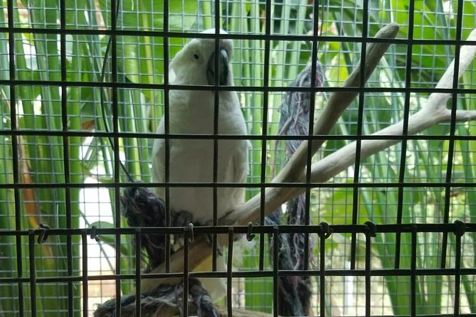 Rockland Bird Sanctuary Private Tour - What the private vehicle adds