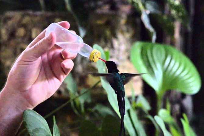 Rockland Bird Sanctuary Private Tour - Is $97.44 a fair price?
