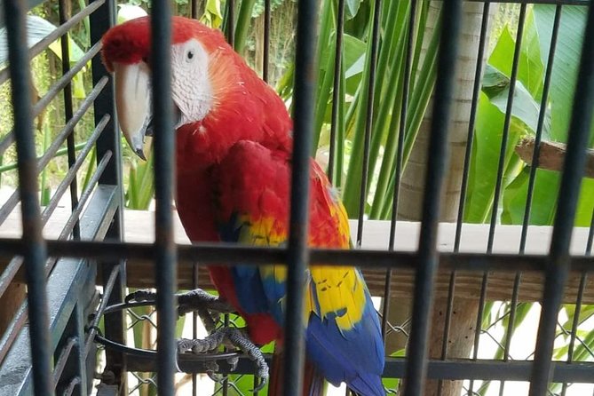 Rockland Bird Sanctuary Private Tour - Weather, timing, and cancellation