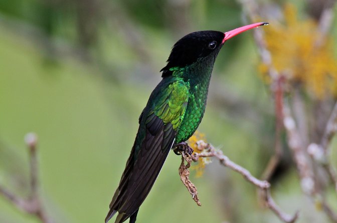 Rockland Bird Sanctuary Private Tour - Practical ways to enjoy the birds