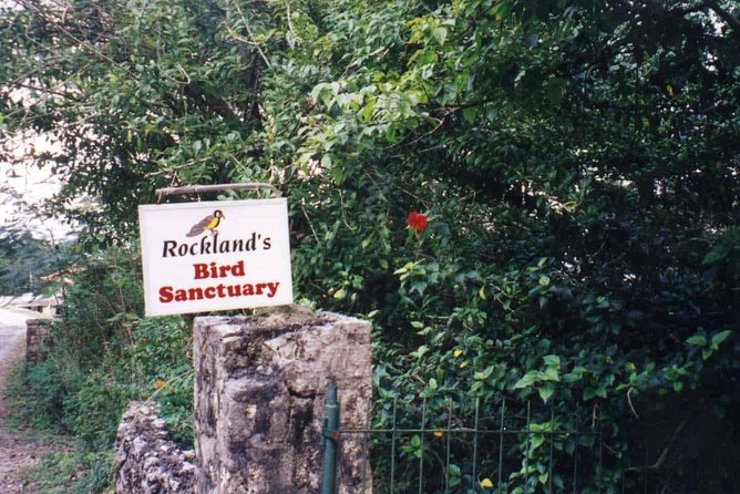 Rockland Bird Sanctuary Private Tour - A guided walk with more than hummingbirds