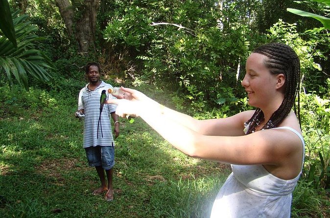 Rockland Bird Sanctuary Tour [Transportation] Hotel Pick-Up - Hotel Pickup From Montego Bay, Negril, or Falmouth