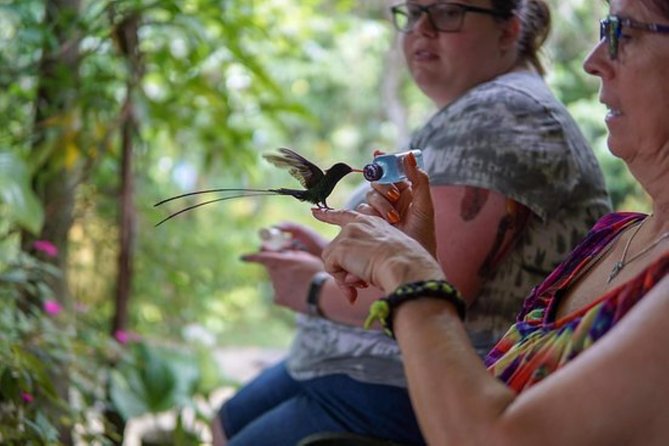 Rocklands Bird Sanctuary & City Highlights plus Shopping from Montego Bay - Sam Sharpe Square and the downtown drive