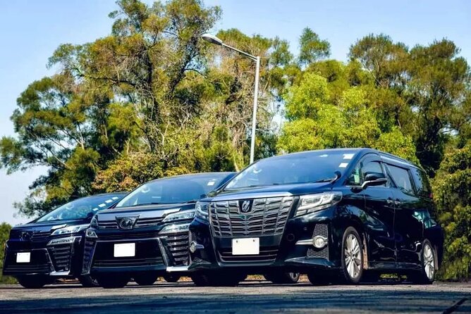 Royalton Hotel & RIU Aquarelle-Private Roundtrip Airport Transfer - Key points to know before booking
