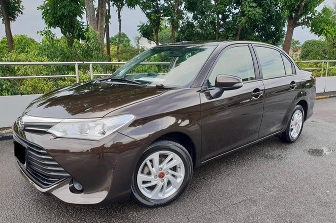 Royalton White Sands & Royalton Blue Waters Private Airport Transfers - What the driver adds to a basic transfer