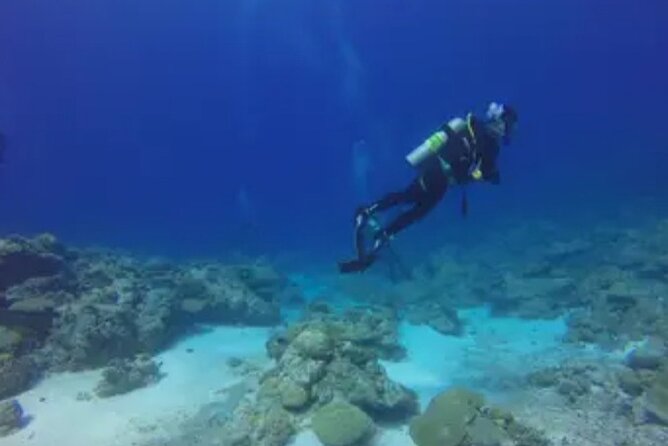 Scuba Diving and shopping on the Hipstrip. - Pool practice builds comfort before open water