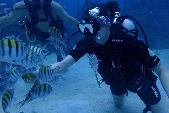Scuba Diving and shopping on the Hipstrip. - Who will enjoy this activity most