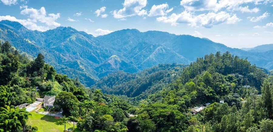Shared/Private Full Day Blue Mountains Tour -Top Attractions - Craighton Estate and the story behind the coffee