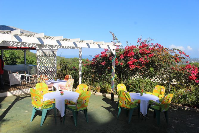 Skip the Line: Ahhh Ras Natango Gallery and Garden Admission Tickets - The first look over Montego Bay