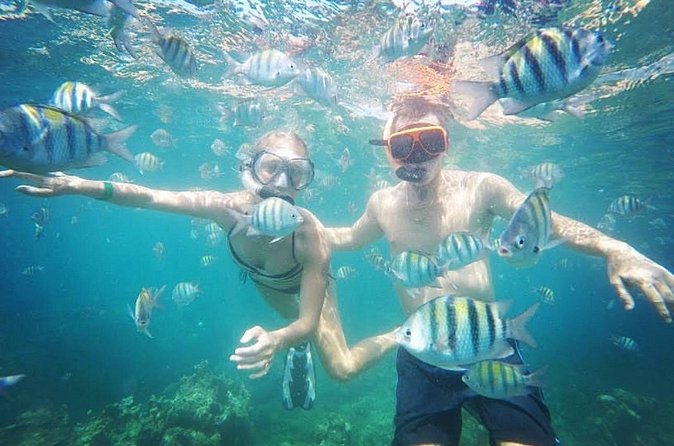 Snorkeling and Shopping in Montego Bay with Hotel pickup - What the private format changes