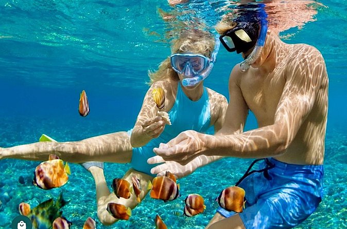 Snorkeling and Shopping in Montego Bay with Hotel pickup - Weather, timing, and practical planning
