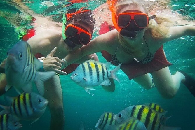 Snorkeling and Shopping in Montego Bay with Hotel pickup - The one-hour guided snorkeling session