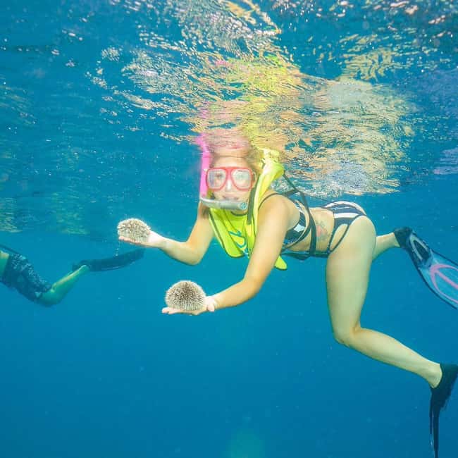 Snorkeling in Montego Bay with Transportation - What the $133 price really buys you