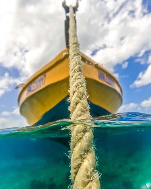 Snorkeling in Montego Bay with Transportation - Timing, group size, and practical fit