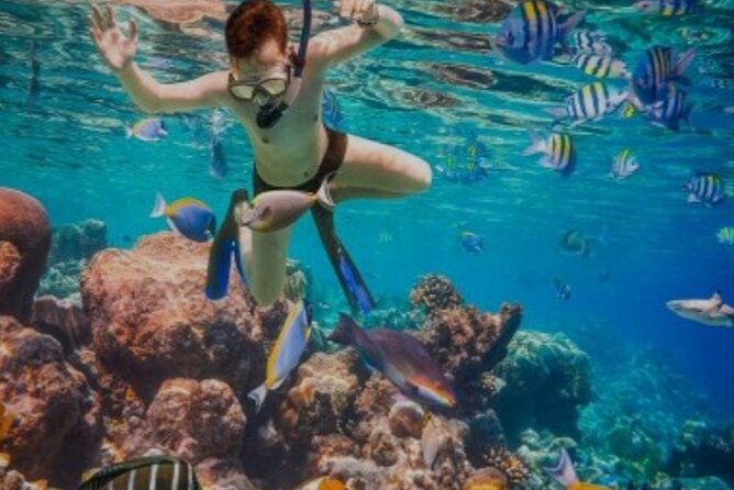 Snorkeling with Margaritaville and shops on Hipstrip activity - A quick reef trip near Doctor’s Cove