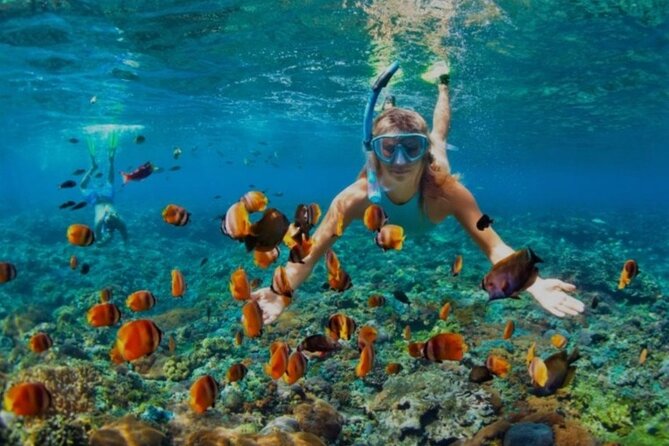 Snorkeling with Margaritaville and shops on Hipstrip activity - Margaritaville on Montego Bay’s Hipstrip
