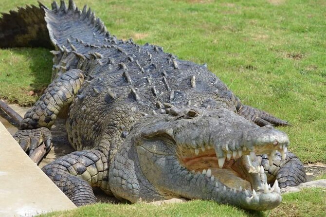 South Coast Cultural Tour History and Nature - What the $360 price means