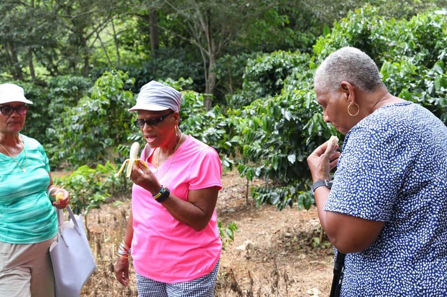 Taste of Jamaica Farm & Food Tour - Getting There From Your Hotel or Cruise Ship