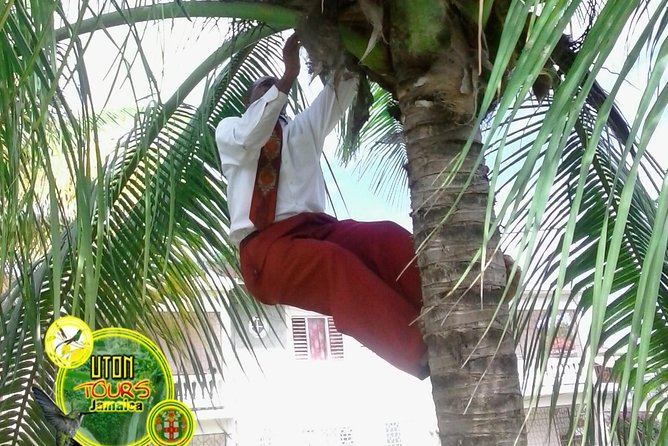 The AMAZING Montego Bay Tour - Seeing Montego Bay from the road