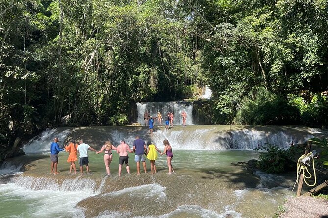 Tour to Black River and YS Falls - Black River by boat, with crocodiles and mangroves