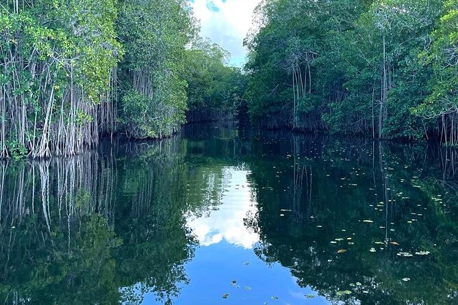 Tour to Black River and YS Falls - Floyd’s Pelican Bar, ten minutes offshore
