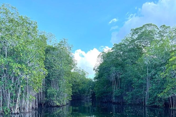 Tour to Black River and YS Falls - How Everald shapes the experience
