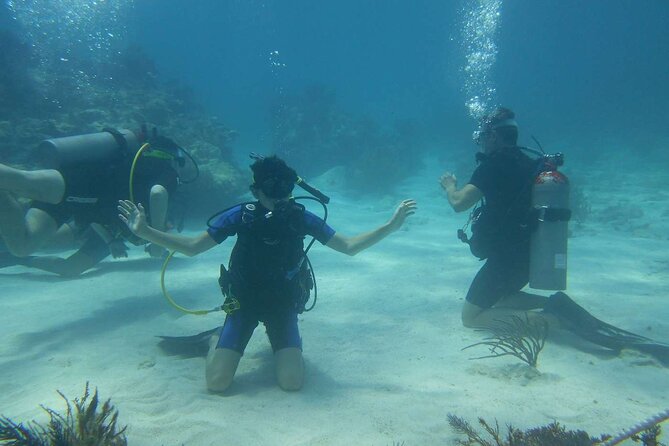 Two Tank Dive in Montego Bay w/Certified Divers - Coral, creatures, and the appeal of the reef