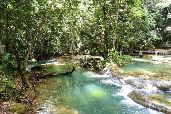 YS Falls and Appleton Estate Private Rum Tour - Cooling off at YS Falls