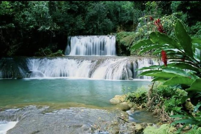 YS Falls and Appleton Estate Private Rum Tour - A private tour changes the pace