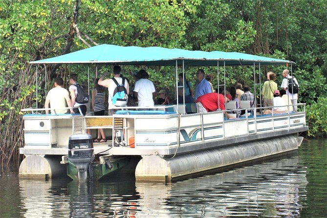 YS Falls and Black River Safari Guided Tour from Montego Bay and Grand Palladium - From Montego Bay to Jamaica’s South Coast