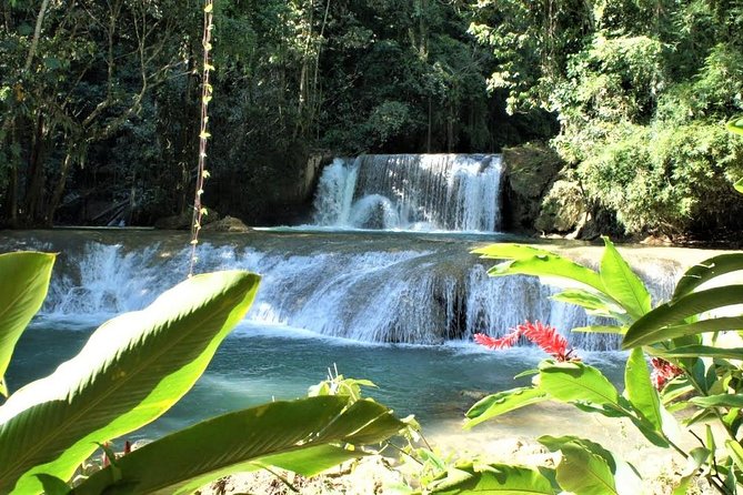 YS Falls and Black River Safari Guided Tour from Montego Bay and Grand Palladium - Cruising the Black River by pontoon boat