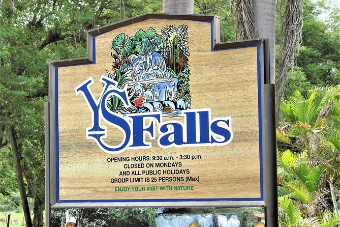 YS Falls and Black River Safari Guided Tour from Montego Bay and Grand Palladium - Who will enjoy this day most
