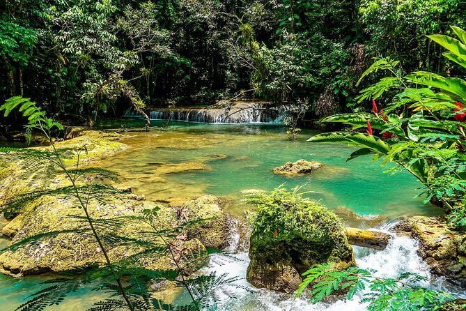 YS Falls and Black River Safari South Coast from Negril Jamaica - Riding the Black River through mangroves