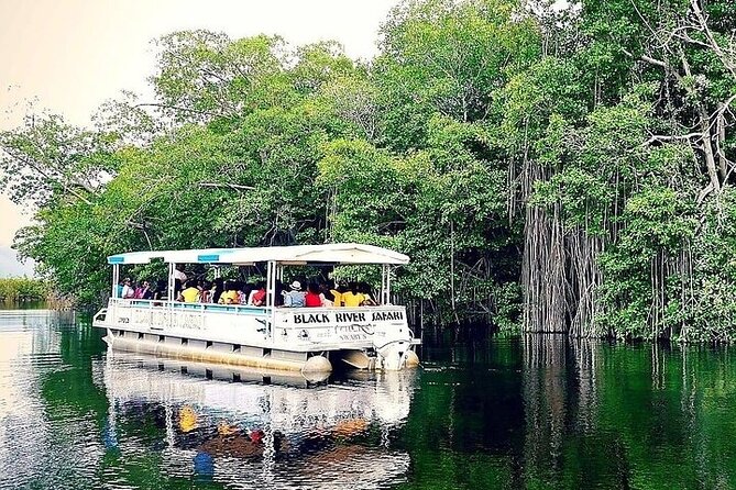 YS Falls and Black River Safari South Coast from Negril Jamaica - Is the $176-plus day worth it?