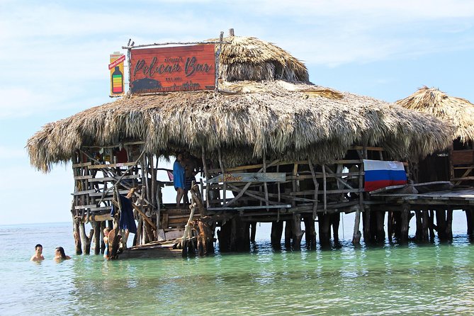 YS Falls, Black River Safari, and Floyd's Pelican Bar Day-Trip (Transportation) - Key points before you book
