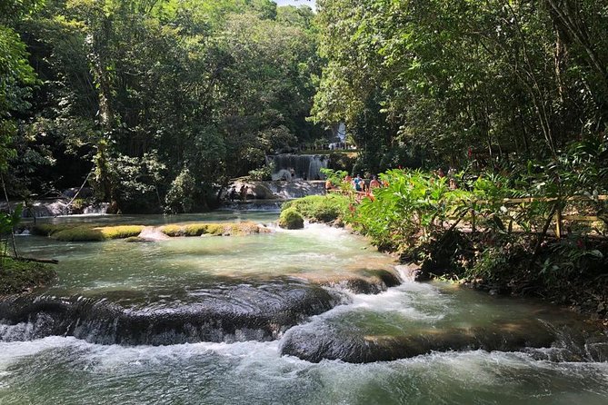 YS Falls, Black River Safari, and Floyd's Pelican Bar Day-Trip (Transportation) - Why this south-coast day works so well