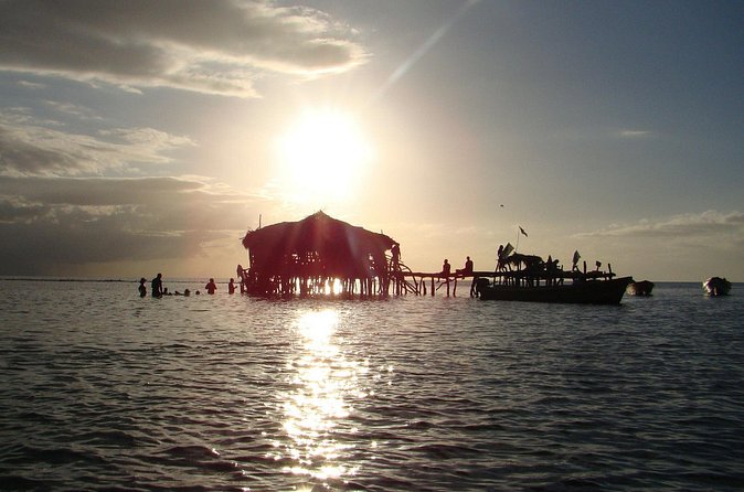 YS Falls, Black River Safari, and Floyd's Pelican Bar Day-Trip (Transportation) - The private driver can shape the whole day
