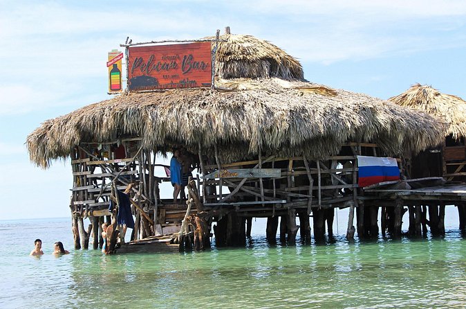 YS Falls, Black River Safari, and Floyd's Pelican Bar Day-Trip (Transportation) - Timing, comfort, and what to bring