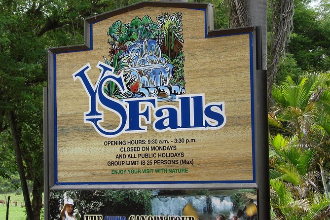 YS Falls, Black River Safari, and Floyd's Pelican Bar Day-Trip (Transportation) - YS Falls: seven cascades and natural swimming pools