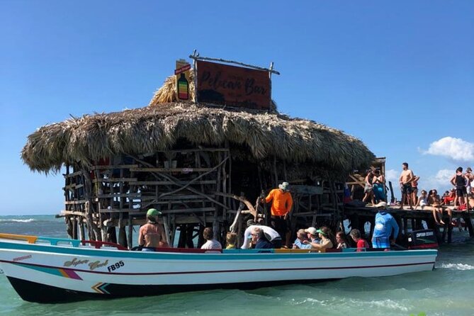 YS Falls, Black River Safari, Appleton Rum Tour OR Pelican Bar (Choose Up to 3) - What the $195 price really covers