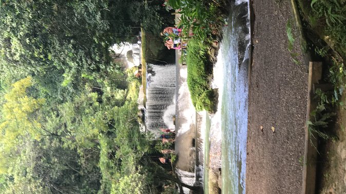 YS Falls Private Full-Day Adventure Tour with Pickup - The ride from Negril to Jamaica’s south coast