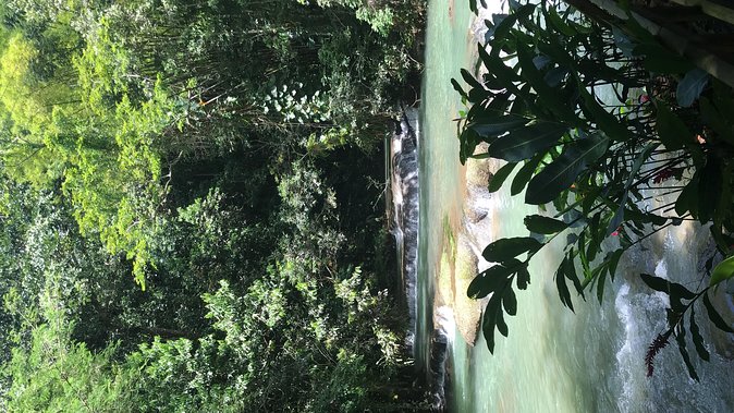 YS Falls Private Full-Day Adventure Tour with Pickup - What the $129 price really covers