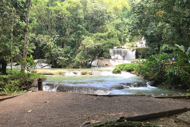 YS Falls Private Full-Day Adventure Tour with Pickup - Who will enjoy this tour most