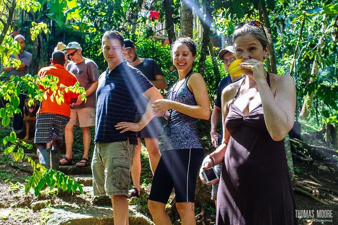 Zimbali's Rasta Tour Lunch - What you see at the Rasta camp