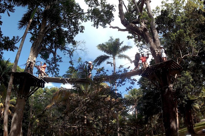 Zip Line over the Dunns River Falls - The Rope Bridge to the Starting Platform
