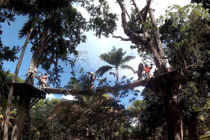 Zip Line over the Dunns River Falls - Special Access and Arrival Details