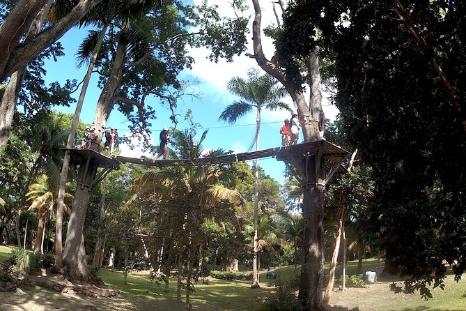 Zip Line over the Dunns River Falls - What the Four-Hour Schedule Feels Like