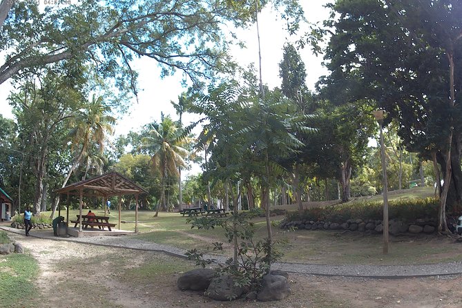 Zip Line over the Dunns River Falls - Safety, Comfort, and First-Time Riders